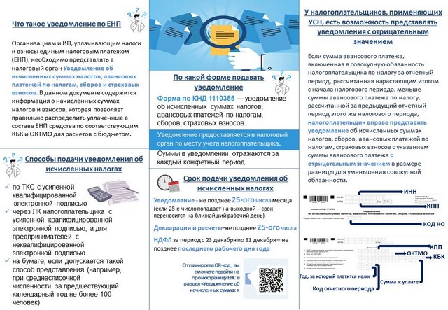 foto 2025 07 25 08 34 002