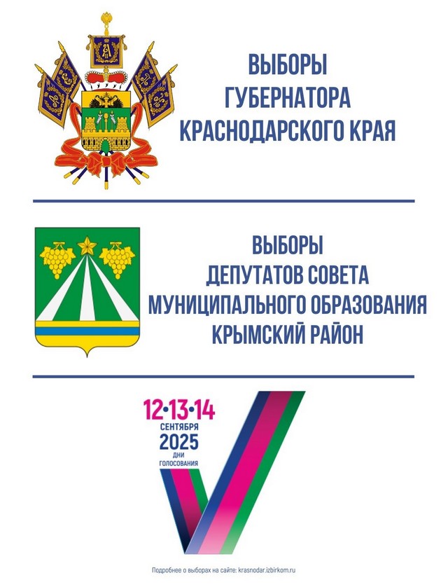 Выборы